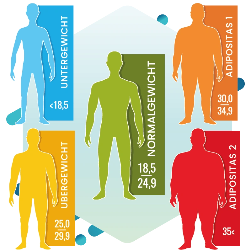 BMI-Rechner